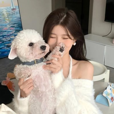 魅影大盗